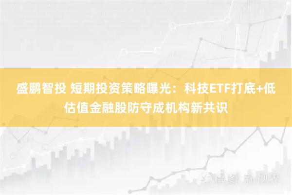 盛鹏智投 短期投资策略曝光：科技ETF打底+低估值金融股防守成机构新共识