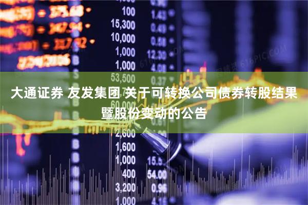 大通证券 友发集团 关于可转换公司债券转股结果暨股份变动的公告