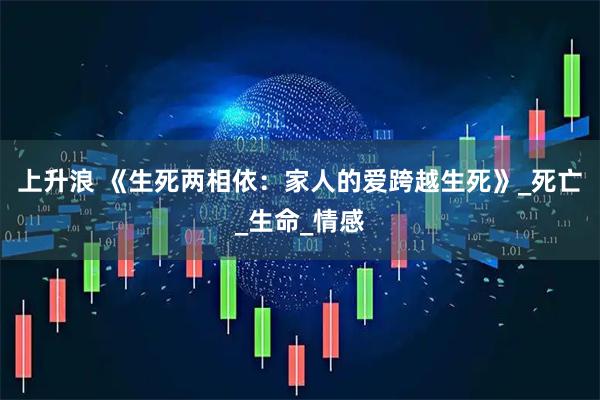 上升浪 《生死两相依：家人的爱跨越生死》_死亡_生命_情感
