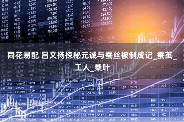 同花易配 吕文扬探秘元诚与蚕丝被制成记_蚕茧_工人_桑叶