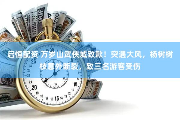 启恒配资 万岁山武侠城致歉！突遇大风，杨树树枝意外断裂，致三名游客受伤