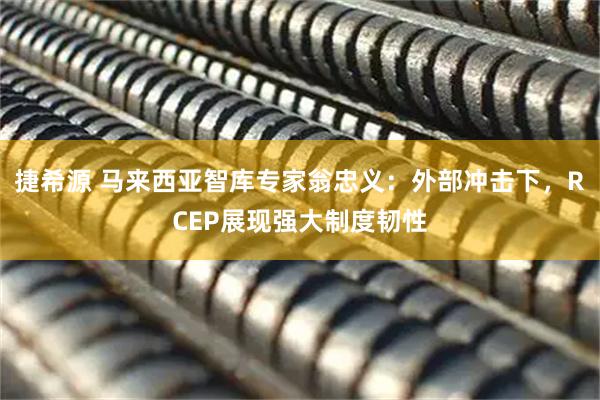 捷希源 马来西亚智库专家翁忠义：外部冲击下，RCEP展现强大制度韧性