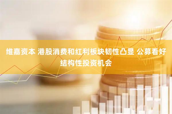 维嘉资本 港股消费和红利板块韧性凸显 公募看好结构性投资机会